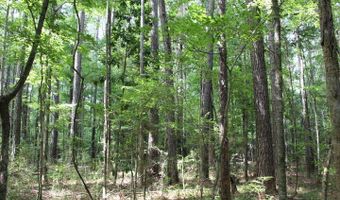 00 Pinola Braxton Rd, Braxton, MS 39044
