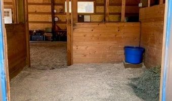 104 Six Bits St, Bailey, CO 80421