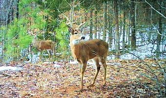 8411 Tn-69a, Big Sandy, TN 38221