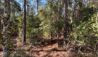 Lot 10 16th Ave, Bell, FL 32619