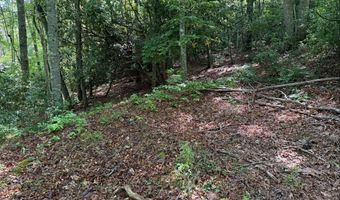Tdb Cove Creek Rd, Bastian, VA 24314
