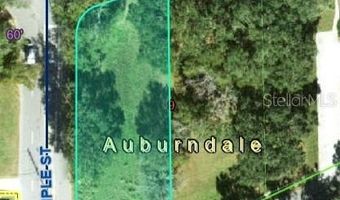 2006 LAKE ARIANA Blvd, Auburndale, FL 33823