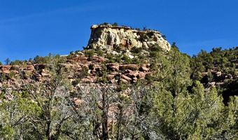 TBD X4 Road, Bedrock, CO 81411