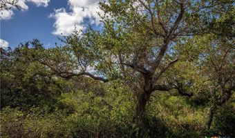 N McCampbell Street, Aransas Pass, TX 78336