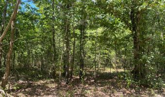 0 County Road 4507, De Kalb, TX 75559