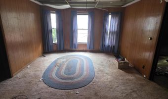 113 W Walnut St, Albion, MI 49224