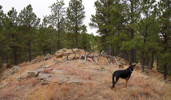 Lot 3 BBCR Road, Belle Fourche, SD 57717