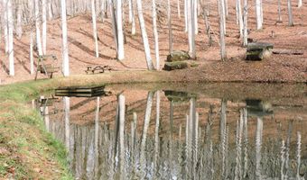 191 Bens Bnd, Bakersville, NC 28705