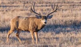 630 GRANDVIEW Dr, Alpine, WY 83128