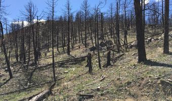 3600 Moondance Way, Bellvue, CO 80512