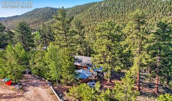 226 Hall Rd, Bailey, CO 80421