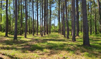3 3a Gray Goose Dr, Aurora, NC 27806
