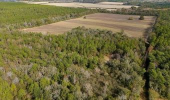 N Bob Brooks Road, Baker, FL 32531
