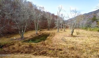 1693 Steve Brown Rd, Bean Station, TN 37708
