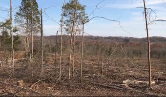 233 County Road 83, Athens, TN 37303