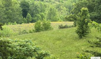2745 Old Quarry Rd, Bassett, VA 24055