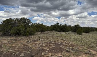 214 CR 8051, Concho, AZ 85924