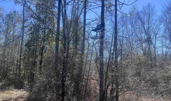 Robinsonville Road, Atmore, AL 36502