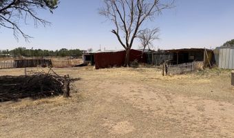 503 W Ellwood Blvd, Anton, TX 79313