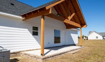 4419 Altamaha School Rd, Baxley, GA 31513