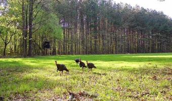 Pleasant Hill Road, Ashland, MS 38603