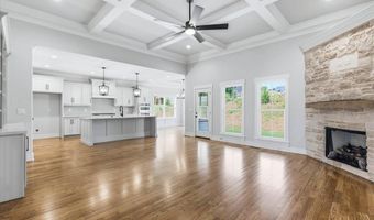 10597 Brownspring Dr 115, Apison, TN 37302