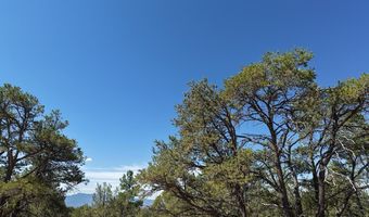 Robertos Lane, Arroyo Seco, NM 87514