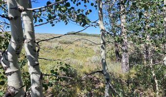 TRACK 12 ASPEN RIDGE Road, Daniel, WY 83115