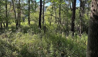 Lynch Road, Alfred, NY 14806