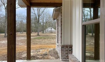 945 Rock Ranch Rd, Carriere, MS 39426