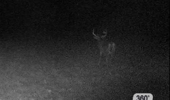 Henderson Rd, Batesville, MS 38606