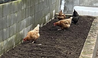 79 AUBURN FOREST Rd, Afton, WY 83110