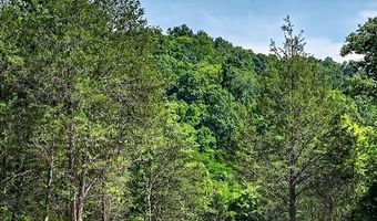 2926 Bryant Ridge Rd, Baxter, TN 38544