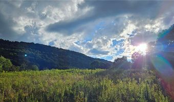 Shaver Hollow, Andes, NY 13731