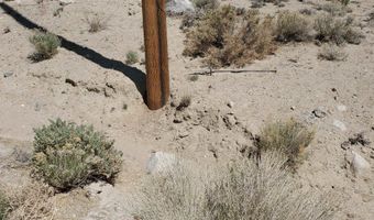 810 Chiatovich Creek Road Lot 8A1, Dyer, NV 89010