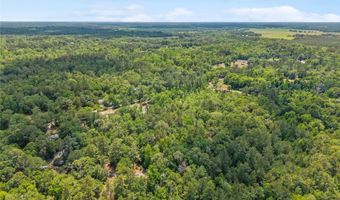 4814 NW 244 Ave, Alachua, FL 32615