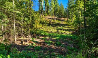 NNA Stone Rd Lot 2 20.0 Acres, Blanchard, ID 83804