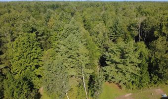 2181 M-33, Alger, MI 48610