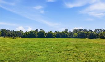 Farm to Market Rd 2562, Anderson, TX 77830