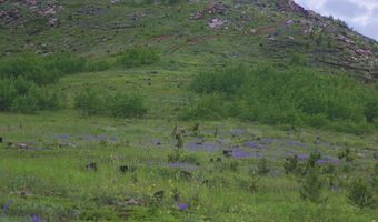 14884 Rist Canyon Rd, Bellvue, CO 80512