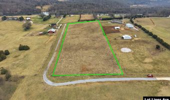 972 Cliff Top Rd, Blaine, TN 37709