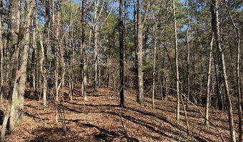 Cr 127, Abbeville, MS 38601