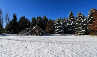 8324 MILLER, Alanson, MI 49706