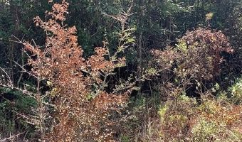 SQ 29 CRAIN Street lot 9-16, Abita Springs, LA 70420