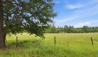 115355 115353 CR 2501, Alto, TX 75925