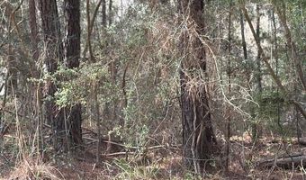 Conecuh River Church Rd, Andalusia, AL 36420