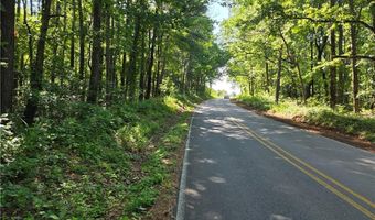 0 Lawson Federal Rd, Ball Ground, GA 30107