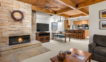 610 S West End St J204, Aspen, CO 81611