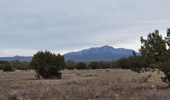 214 B Juniper Woods, Ash Fork, AZ 86320