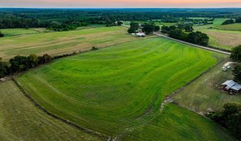 100 Acres Harmony Church Rd, Andalusia, AL 36421